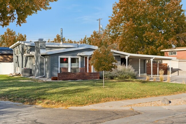 Building Photo - 1346 Phillips Ln