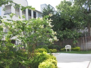 Building Photo - 1441 East St