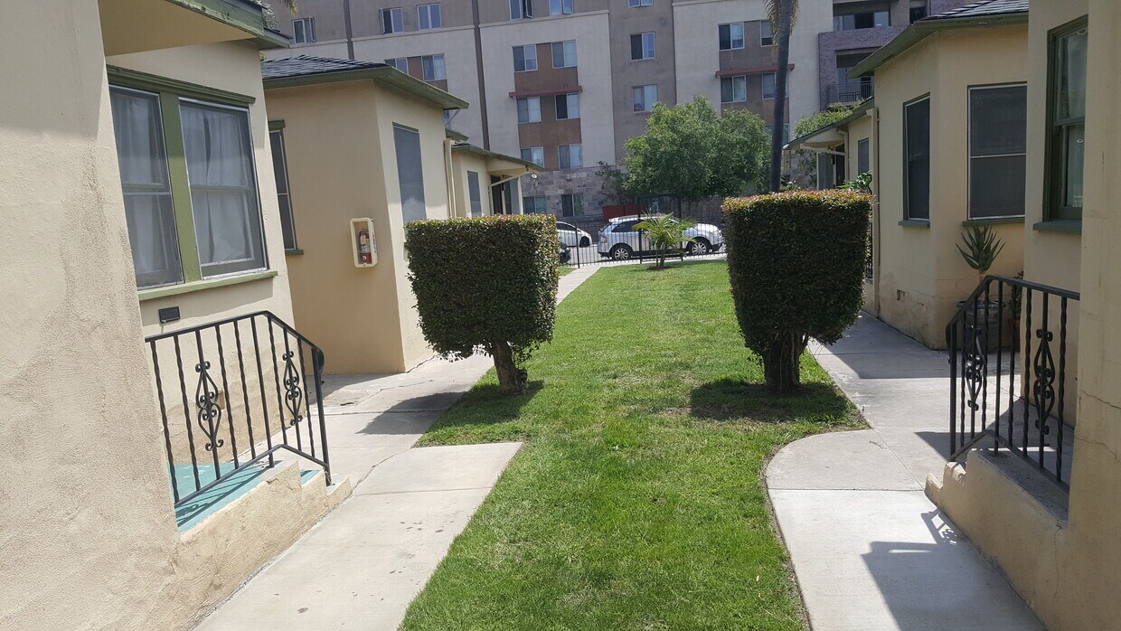 complex grass - 4078 43rd St