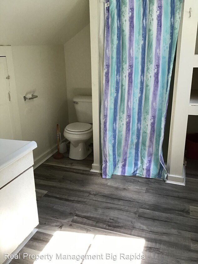 511 S Michigan Ave, Big Rapids, MI 49307 Apartment for Rent in Big