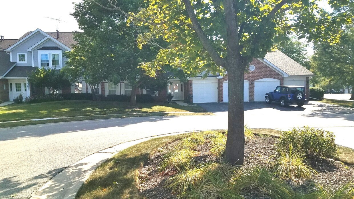 347 Ashbury Ln W Unit 7, Roselle, IL 60172 Condo for Rent in Roselle