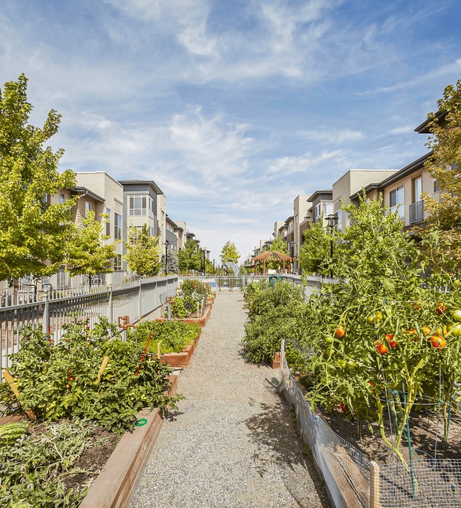 Building Photo - The Aster Conservatory Green