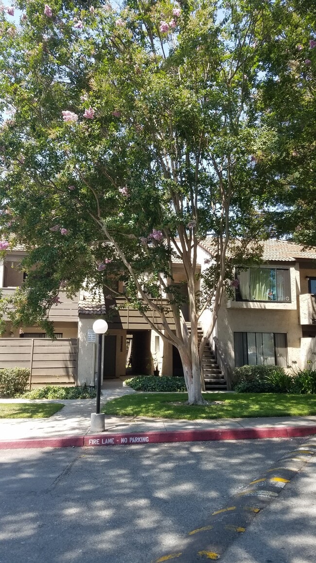 Building Photo - 2481 Sequester Ct