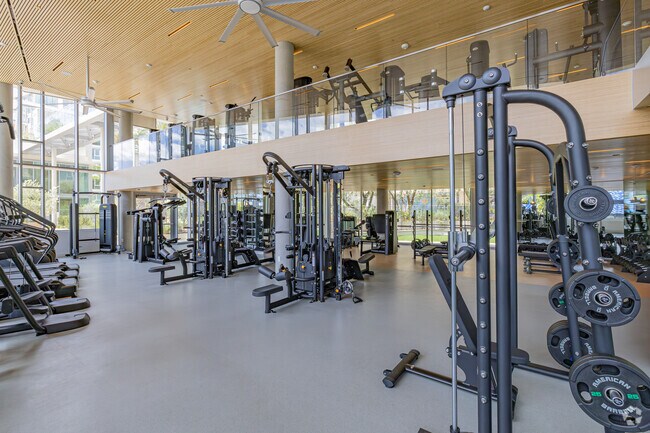 Gimnasio - 222 North City