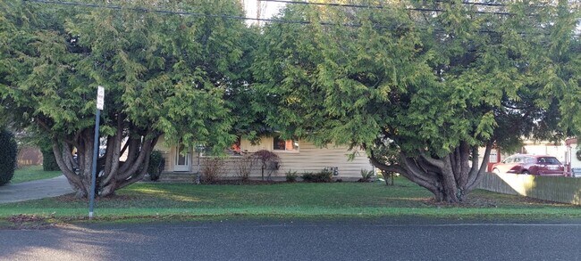 Foto del edificio - Charming 3-Bedroom home near BTC