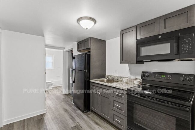 Photo - 725 E College St Apartment