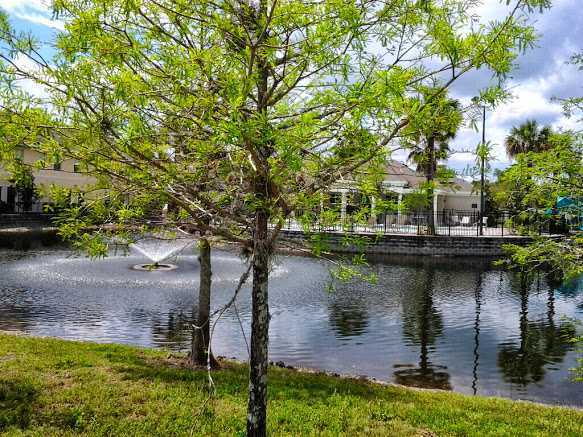 Foto del edificio - Beautiful Furnished 2/2.5  Pool View Condo x Rent Close to Universities.