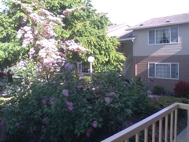 Foto del edificio - 1411 A St