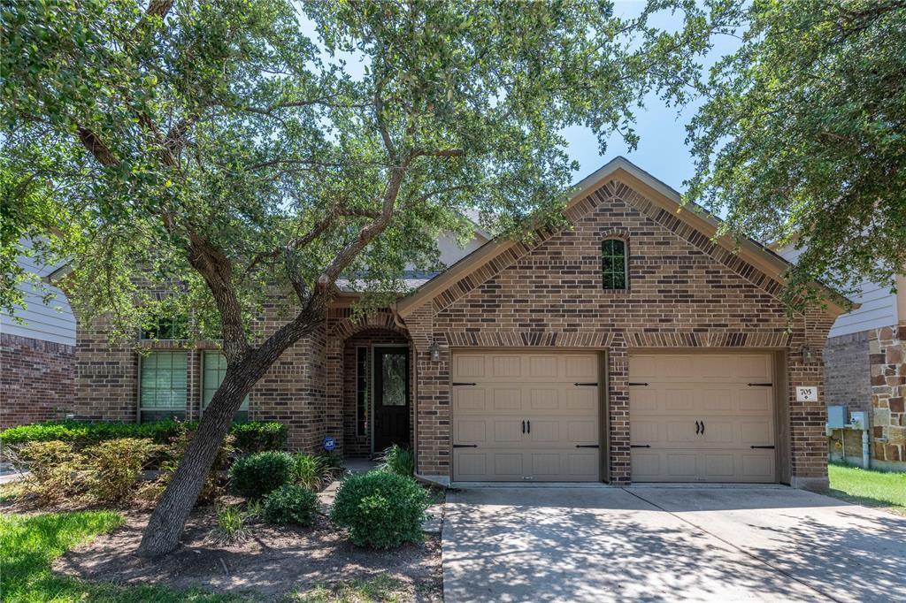 705 Walsh Hill Trail, Cedar Park, TX 78613 House Rental in Cedar Park