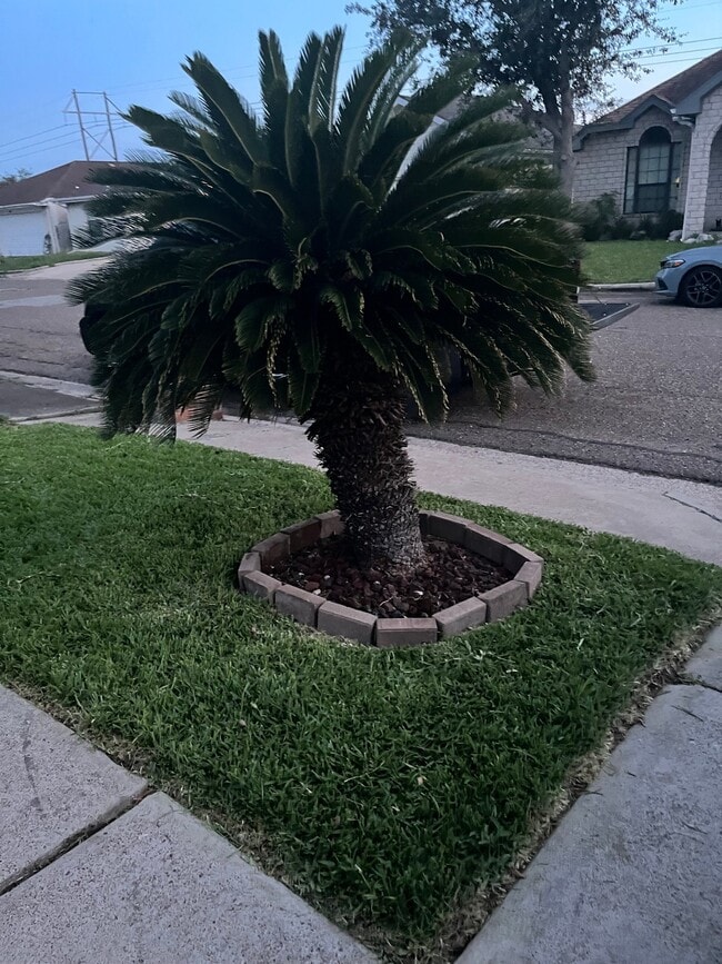 Foto del edificio - 1802 Bobcat Ln
