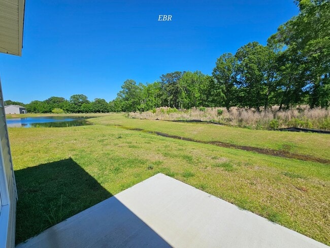 Pet Friendly - Move In Ready - Pet Friendly - Move In Ready House