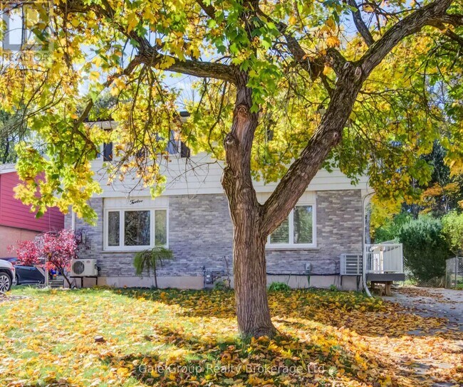 Building Photo - 10 Innes Pl