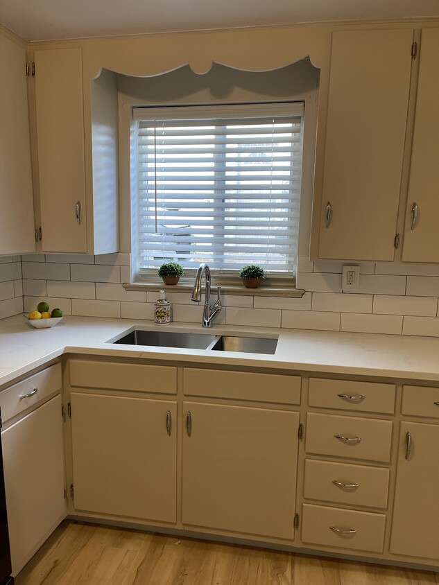 Updated sink, faucet and backsplash - 1919 8th Ave