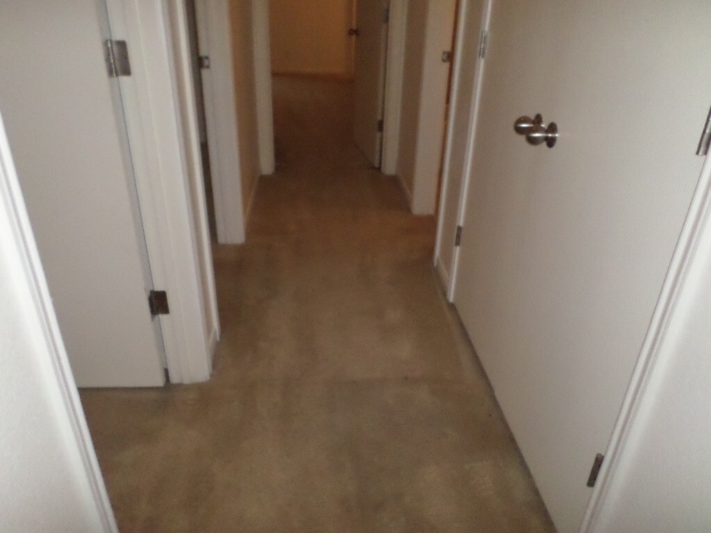 Primary Photo - 1310 Chips Dr