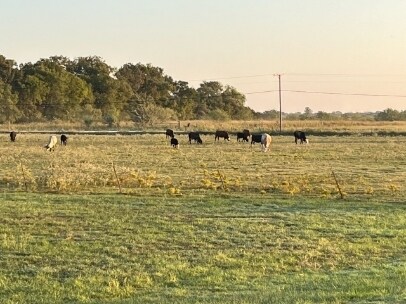 Primary Photo - 5264 SW County Rd