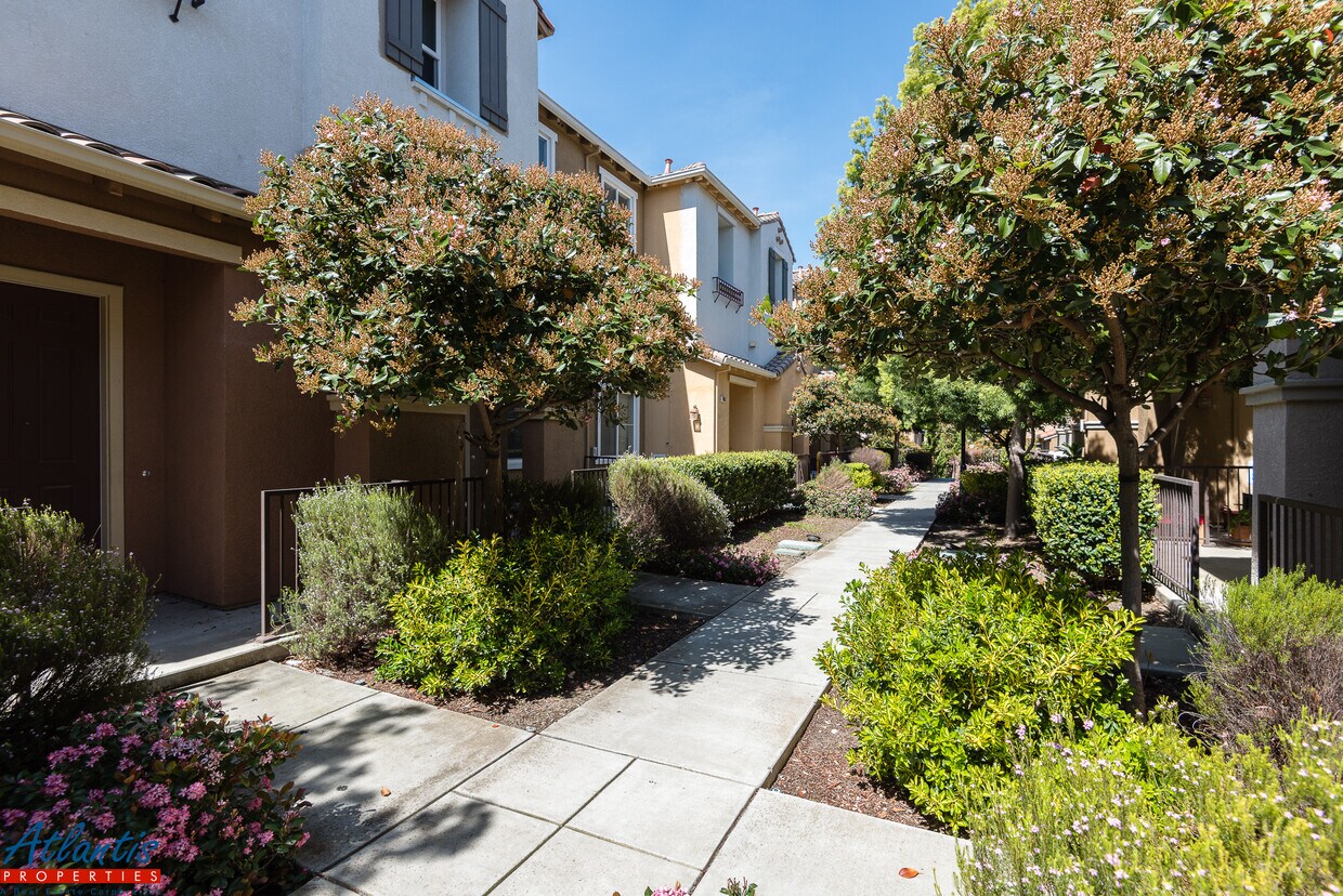 1949 Silva Pl, Santa Clara, CA 95054 Townhouse for Rent in Santa