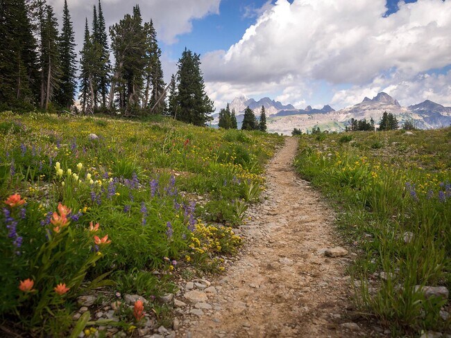 Foto del edificio - Modern 3-Bedroom Townhome in the Heart of ...