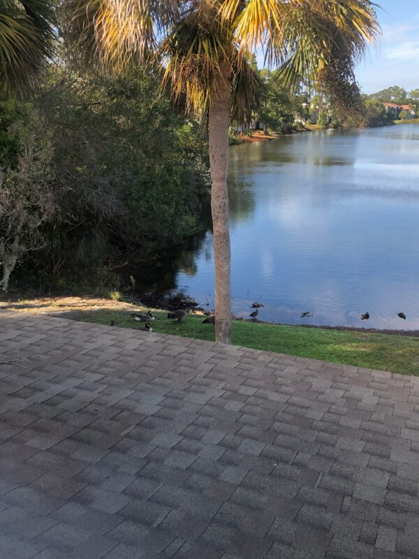 9901 Regency Square Blvd, Jacksonville, FL 32225 Townhome Rentals in