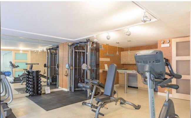 Gimnasio del edificio - 777 N Michigan Ave