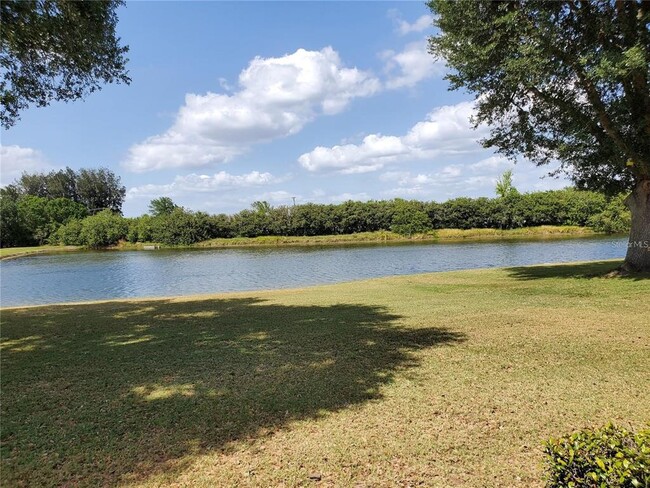 Building Photo - 2439 E Del Webb Blvd