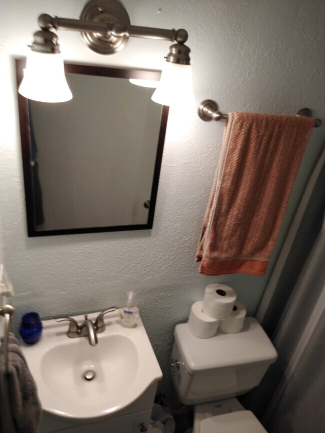 Bathroom with Tub and Shower - 1238 South Brook Street