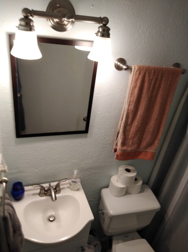 Bathroom with Tub and Shower - 1238 South Brook Street