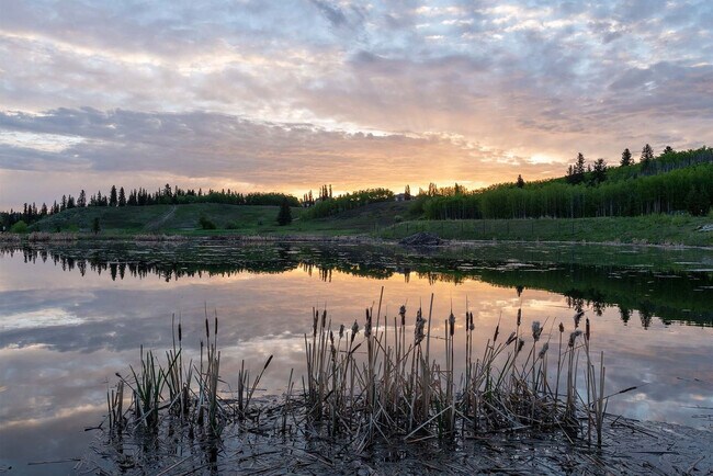 Photo du bâtiment - 31 Cranfield Manor SE