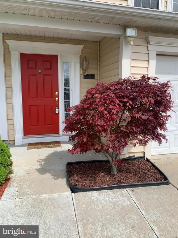 Foto principal - 5537 Upper Mill Terrace N