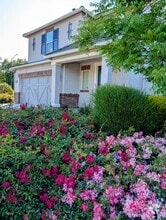 Building Photo - 655 San Marino Ct