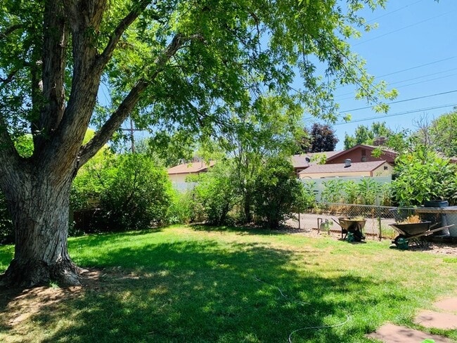 Building Photo - 3 Bedroom, 2 Bath Ranch Home with 1 Car At...