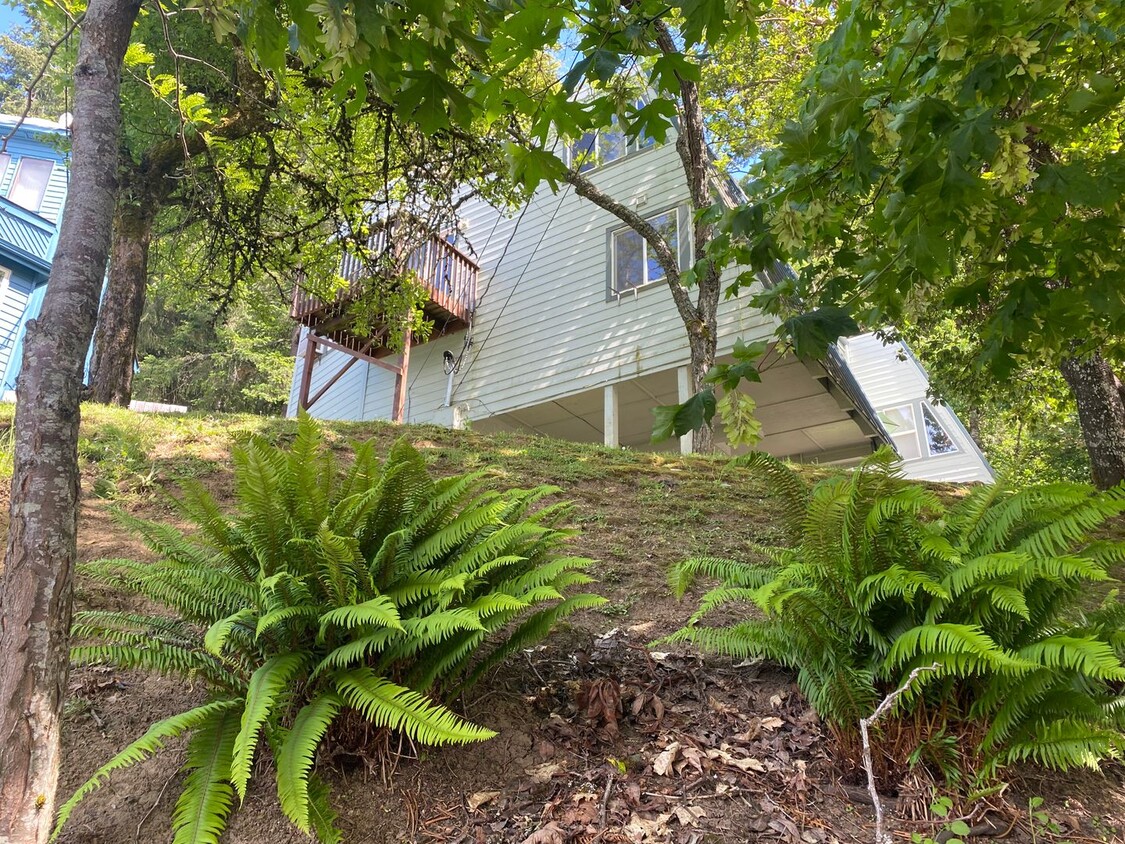Primary Photo - 3 bedroom 1.5 Bath Tandem Home!