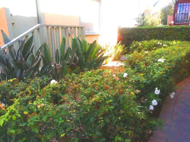Foto del edificio - 1709 S Bonnie Brae St