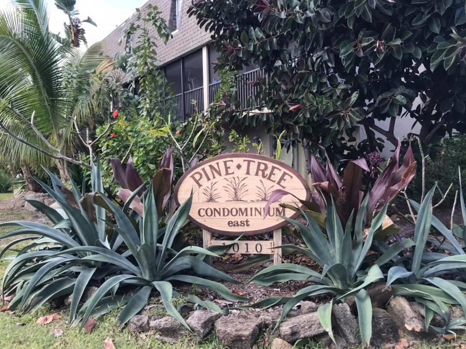 Primary Photo - 1010 Pine Tree Dr