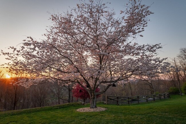 Building Photo - Located in the gated Valhalla community in Brentwood