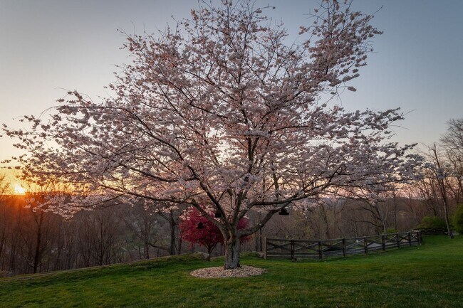 Foto del edificio - Located in the gated Valhalla community in Brentwood