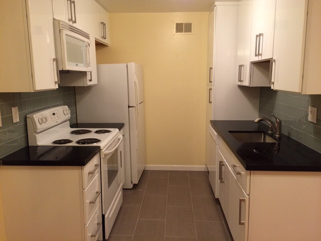Remodeled Kitchen with new cabinets - 446 Webster St