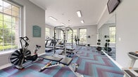 Located at 6200 Birkdale Valley Dr in Charlotte, NC, this fitness center is a thoughtfully designed, single-floor facility built to support a comprehensive workout experience. The space is defined by its generous layout, featuring large, multi-pane windows on multiple walls that flood the room with abundant natural light and offer views of the surrounding landscaped greenery. Crown molding and neutral gray walls give the interior a polished, refined character, while ceiling fans maintain comfortable airflow throughout.

The floor is covered in a bold, chevron-patterned carpet in shades of teal, purple, and blue, adding a vibrant visual energy to the space. A full-length mirror along one wall enhances the sense of openness and provides a practical training aid.

Equipment is well-distributed throughout the room and includes multiple treadmills, elliptical trainers, a stationary air bike, a rowing machine, and a cable/weight machine with an accompanying bench press station. A dedicated free weights area features a dumbbell rack, and a water cooler station is conveniently positioned nearby. Overhead fluorescent lighting supplements the natural light, ensuring the space remains bright at all times. A fitness center rules and information sign is posted on the wall, reinforcing the professional, community-oriented nature of the facility. Access to the outdoors is available through a set of glass panel doors.