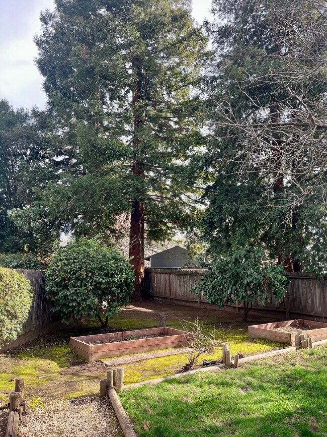 Foto del edificio - 5 Sun Circle Ct