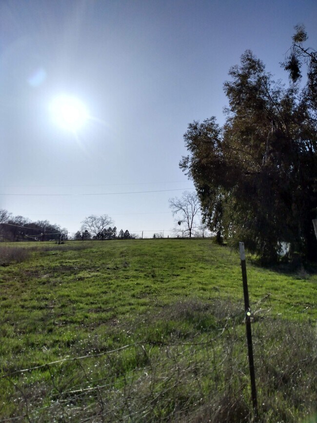 Building Photo - 1401 Hamblen Way