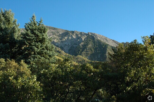 View from patio - 4222 S Helaman Cir