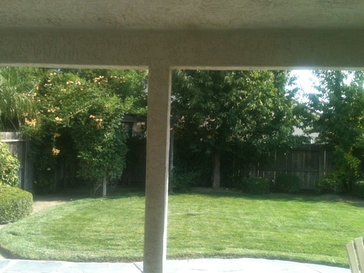 Building Photo - 2424 Sorrel Dr