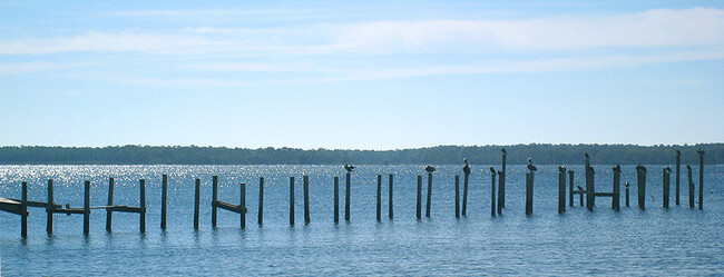 Building Photo - Bay Front Apartments