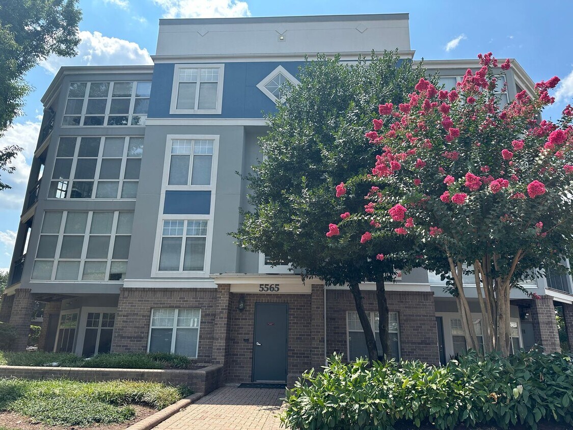 Primary Photo - 2 Bedroom 1 Bath Condo At Savoy Park for Rent