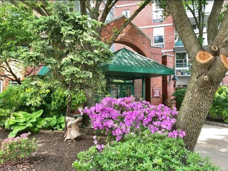 Primary Photo - 300 Main St