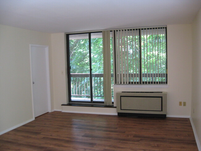 Living Room - 1374 Midland Ave