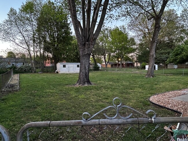 Back yard - fenced in - 537 E Glenwood St