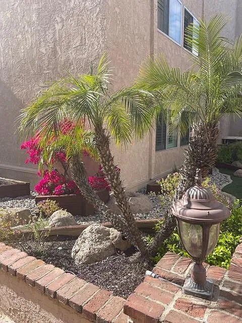 Foto del edificio - 5139 Balboa Blvd