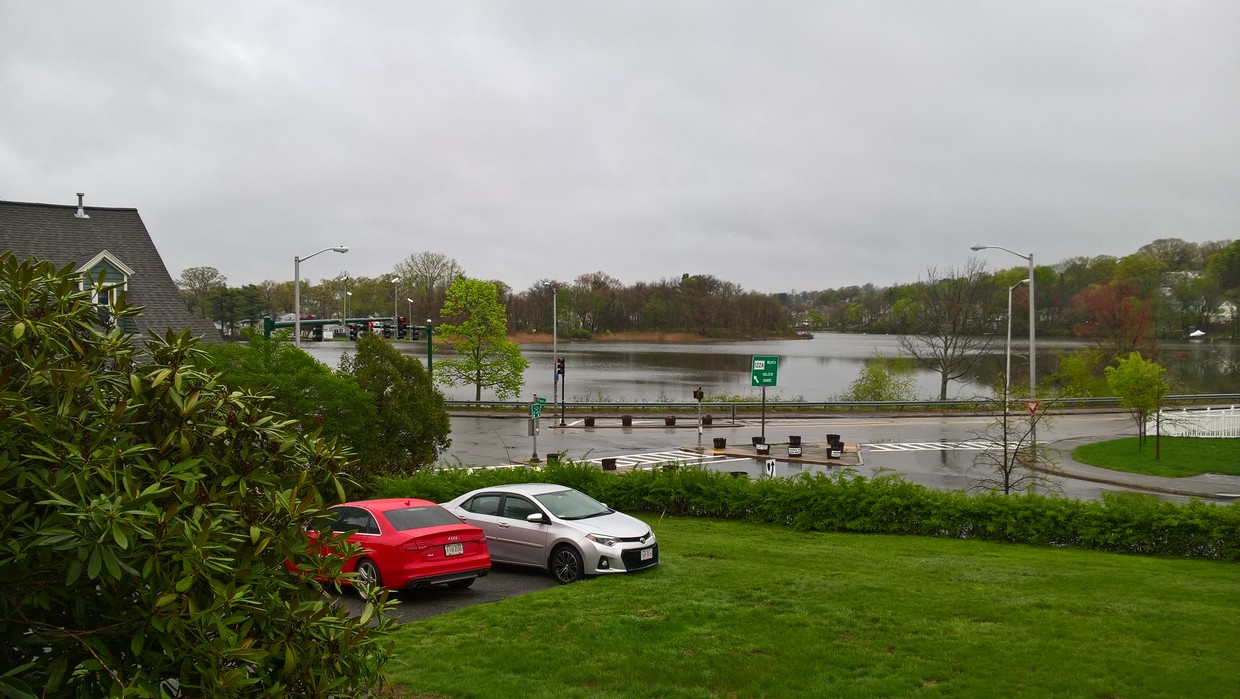 View from the Apt. - 121 Forest St