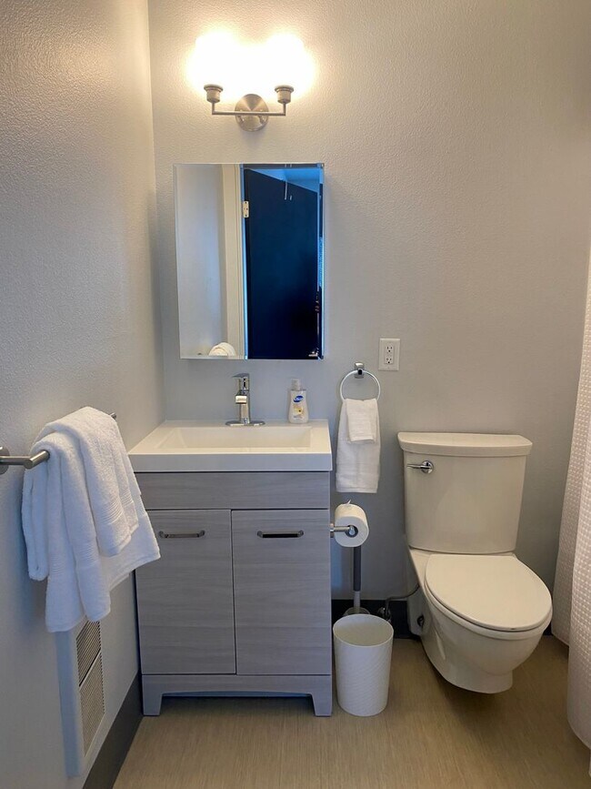 Building Photo - Fully Furnished, 1 bed 1 bath in newly renovated complex!