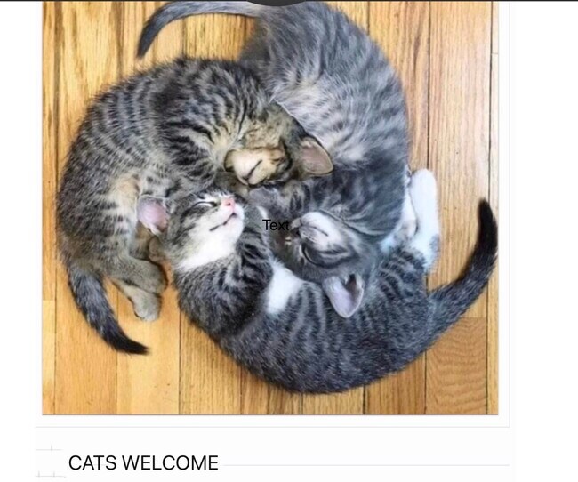 23 Baker St Unit 1, Keene, NH 03431 23 Baker St Keene, NH